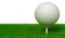 Betting on the PGA and LPGA golfing action 